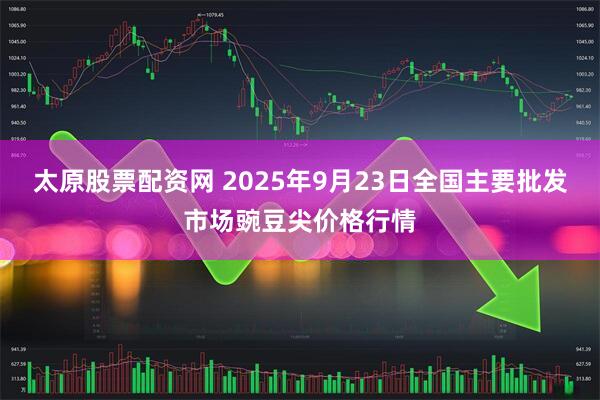 太原股票配资网 2025年9月23日全国主要批发市场豌豆尖价格行情