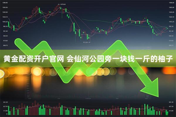 黄金配资开户官网 会仙河公园旁一块钱一斤的柚子