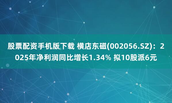 股票配资手机版下载 横店东磁(002056.SZ)：2025年净利润同比增长1.34% 拟10股派6元